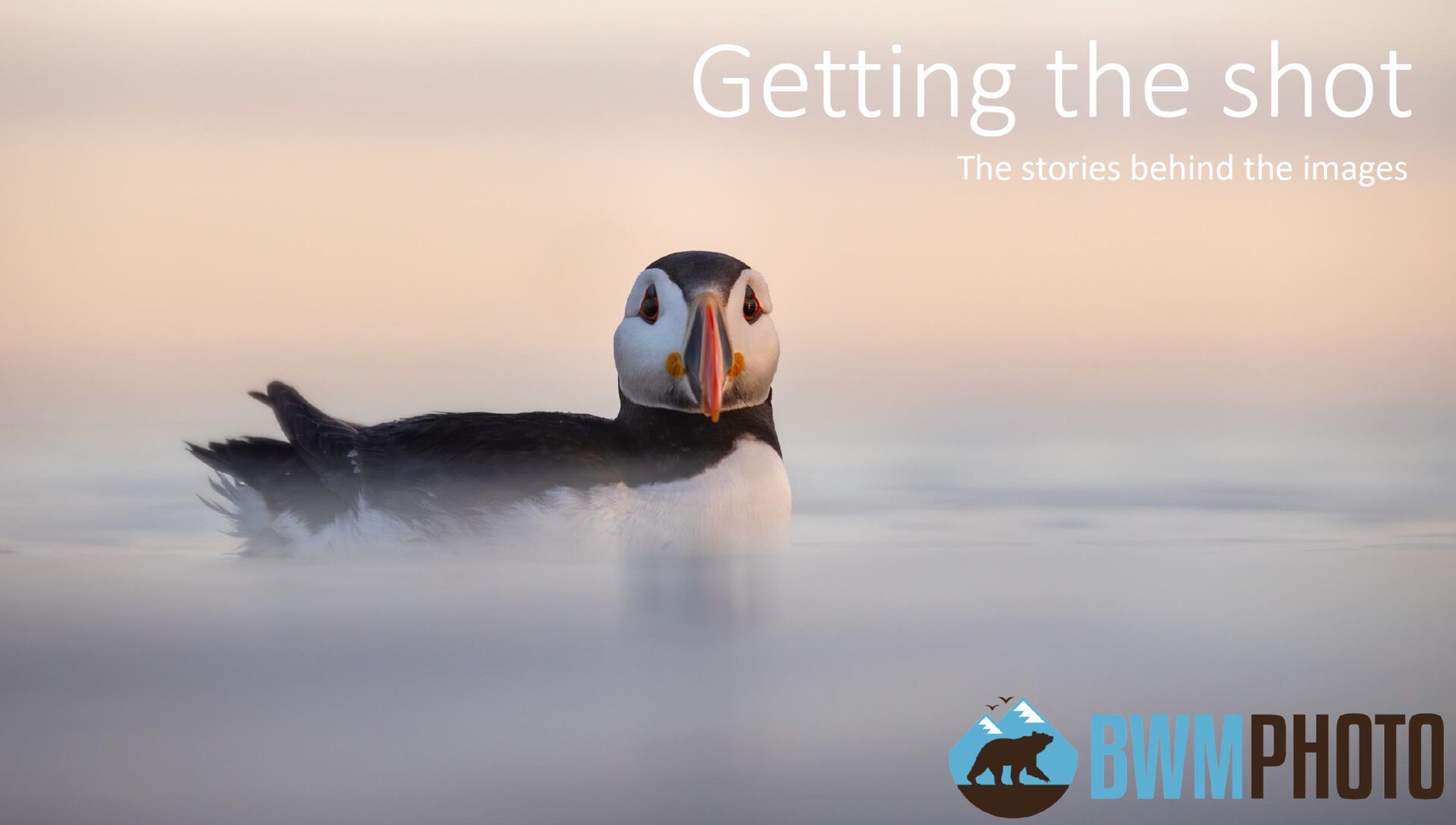 Getting the Shot talk — click to view full flyer